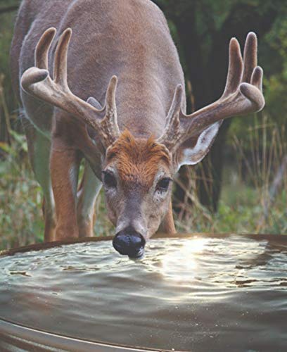 Redmond Hydro All-Natural Mineral and Electrolyte Additive for Deer Watering Systems, from The Makers of Trophy Rock, Attract Deer and Big Game
