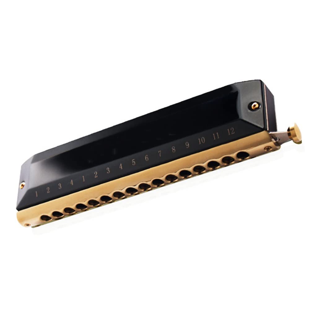 Armónica de 16 Agujeros, armónica cromática de Llave C de 64 Tonos, para niños Principiantes Musicales con Estuche (Color : Black)