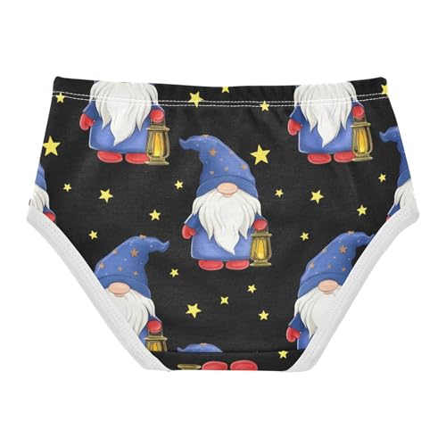 Cute Gnomes Wizards Hats Black Panties for Girl Toddlers Underwear Floral Cotton Animals Briefs Undies Kids 2t2