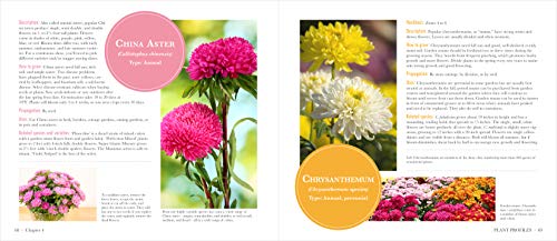 Publications International, Ltd. Publications International Ltd. Flowers: A Guide To Annuals thumb #4