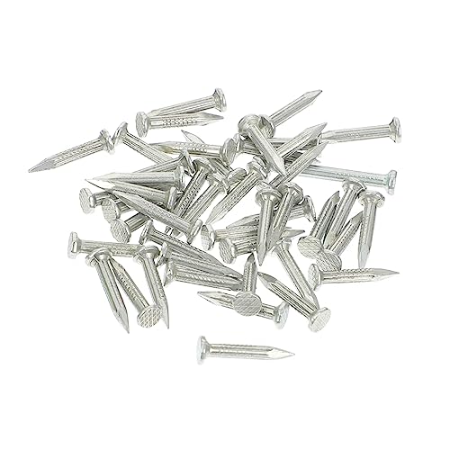 BELLIFFY Galvanized 310pcs Cement Wall Nails Pointed Tips Suitable for Hardwood Concrete