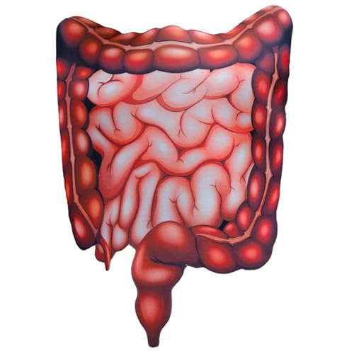 Costume d Halloween organes humains imprimés en 3D combi unisexe pour adulte fête cosplay médical