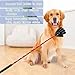 GSNYSAN 16.5Inch Dog Training Stick Pole, Puppy Training Tools Whip with Anti-Slip Handle, Outdoor and Indoor Exercise Interactive Dog Pole for Small Medium Dogs
