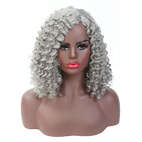 Short Bob Curly Wig for Black Women Natural Hair Afro Kinky Curly Fluffy Wigs Synthetic Heat Resistant African American Wigs Hair (Grey)