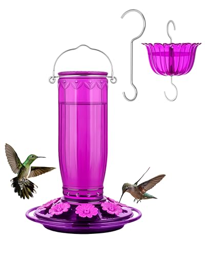iBorn Hummingbird Feeder 8 Ports, Glass, Fuchsia, 16oz