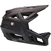Proframe RS Helmet
