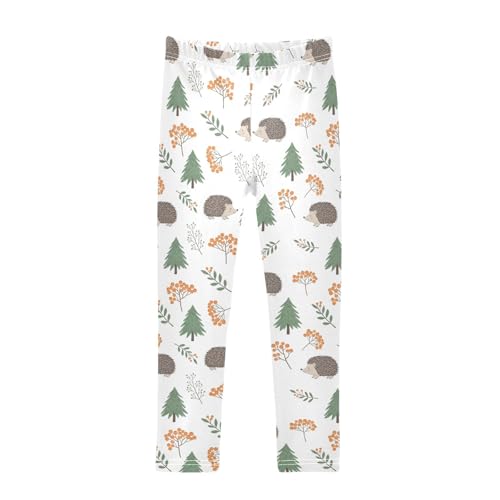 Girls Leggings Size 4T Hedgehogs Tree Yoga Stretchy Pants Comfortable Girl Clothes for Workout Dance