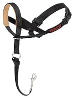 Algopix Similar Product 3 - Company Of Animals Halti Head Halter