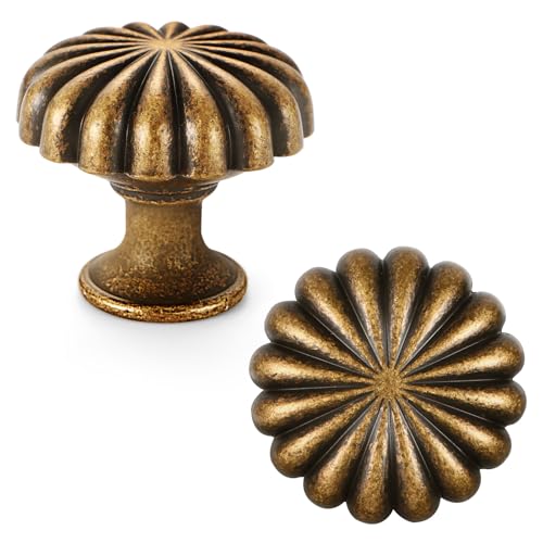 FAPUAL 10 Pack Antique Brass Cabinet Knobs for Kitchen Cabinets