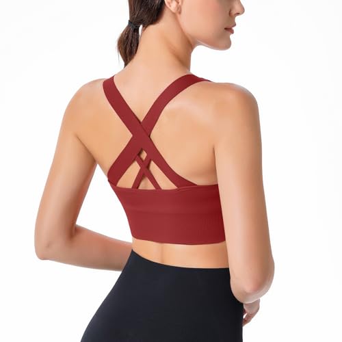 HANERDUN Sujetador Deportivo Mujer con Tirantes Cruzados Sujetador Push up sin Costuras para Yoga Gimnasio Correr