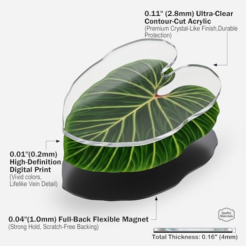 Set de 3 Imanes Decorativos en Forma de Hoja miniatura 4