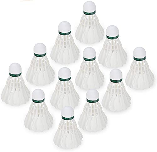 Principles of Automotive Electricity (Mechanics and Hydraulics)