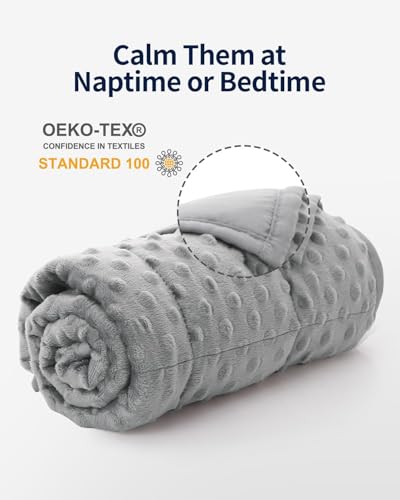 Image of Mr. Sandman Weighted Lap Blanket 2LBS 20 x 30 Inches, Minky Dots Heavy Blanket with Glass Beads, Soft and Cooling for School and Home, Grey