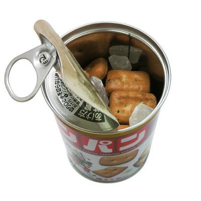 三立製菓 カンパン サンリツ 缶入り 100g 6缶