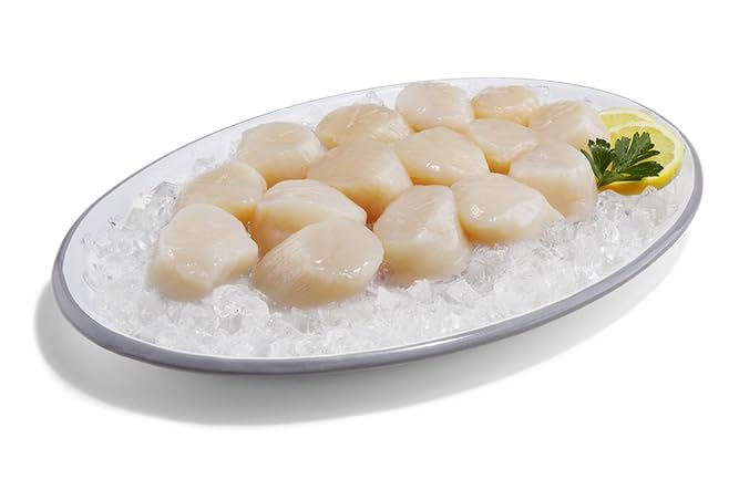 SEAFOOD 40/60 Sea Scallops