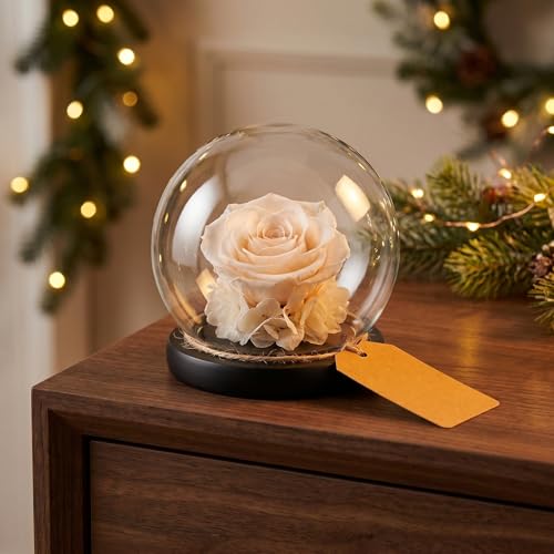 Cúpula de vidrio con base de madera set de 4 piezas para flores preservadas 7