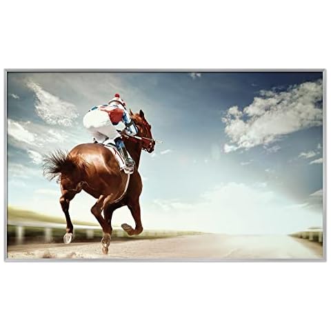 Firzone Eco infrared picture panel heater wall radiator 600W carbon Horse & Jockey photo Cover