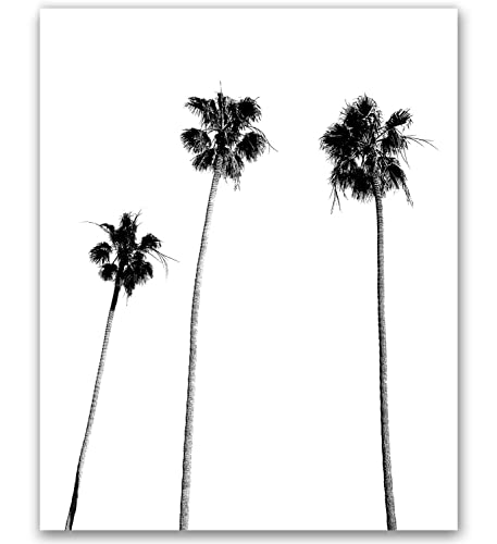 Palm Tree Print Palm Print Palm Tree Photography Black and White Palm Tree Tropical Wall Art Tropical Decor Wall Decor Black and White Palm Tree Black Palm Tree Minimalist 8x10