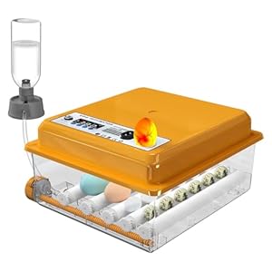 Incubatrice per Uova con Controllo ...