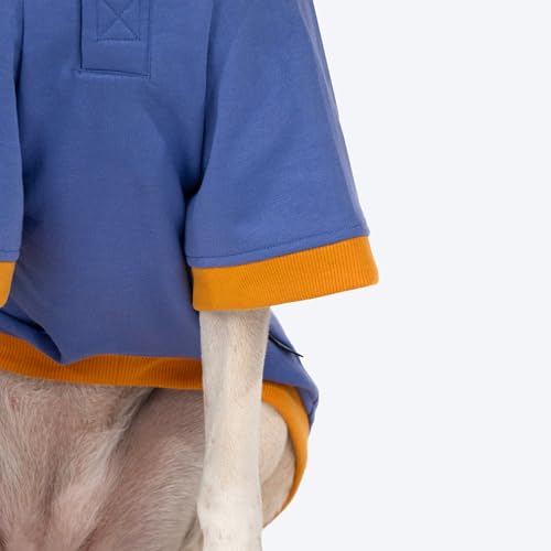 Image of HUFT Wag More Worry Less Colour Block Hoodie - Blue (2XL) | Cozy Winter Clothes & Hoodie for Extra-Large Dogs | Stylish & Comfortable Pet Sweatshirt for Labradors, Golden Retrievers & Large Breeds