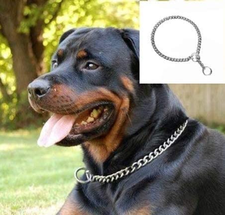 RvPaws Dogs Chrome Plated Diamond Training Choke Chain Collars, Dog Neck Collar Belt for Dogs - 22 Inch (B0BBZVNV6Z) Amazon Price History, Amazon Price Tracker