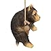 Design Toscano Yorkie Puppy on a Perch Hanging Dog Sculpture