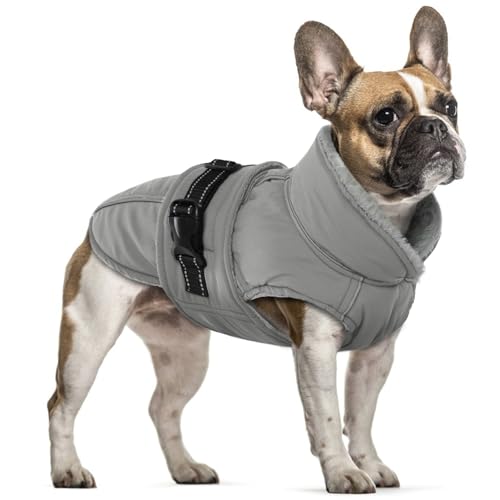 Hundejacke Kleine Hunde, Wintermantel Fleece für Hunde Hundemantel Wasserdicht Hundejacke Französische Bulldogge Warme Weste Winter Hundekleidung für Hunde(Grau, S)