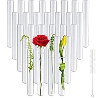 Ferenando 30 Stück Reagenzgläser Glas mit Reinigungsbürste, 20mm OD X 150mm Länge, Reagenzglas Vase mit Rundboden, Laborröhrchen & Reagenzgläser für Blumen, Ameisenzucht, DIY-Handwerk, Laboratorien
