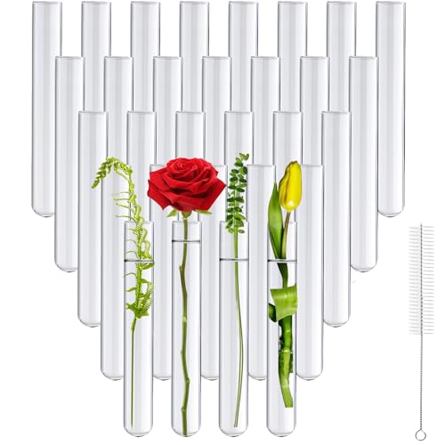 Ferenando 30 Stück Reagenzgläser Glas mit Reinigungsbürste 20mm OD X 150mm Länge Reagenzglas Vase mit Rundboden Laborröhrchen & Reagenzgläser für Blumen Ameisenzucht DIY-Handwerk Laboratorien