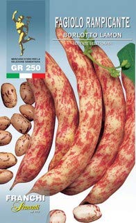Franchi sementi semi di fagioli e fagiolini nani e rampicanti in confezioni varie (rampicante borlotto lamon, 250 grammi)