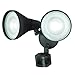 Gamma Bronze 2L Motion Sensor Dusk to Dawn Outdoor Security Flood Light