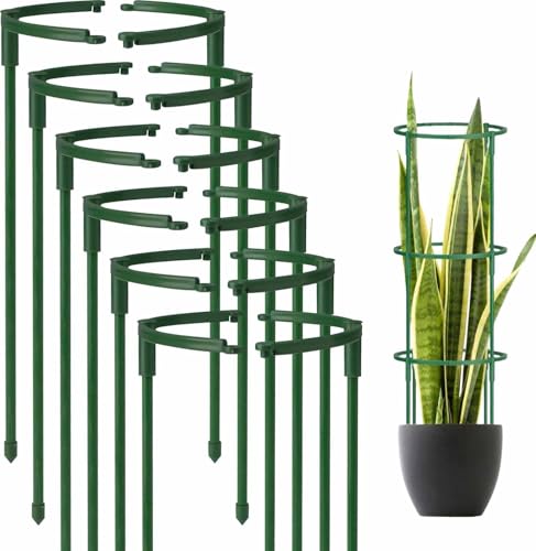 Norhogo Jaula de tomates, soporte para plantas trepadoras, 12 piezas semicirculares, soportes de jardín para plantas para flores, rosas, tomates, lirio, hortensias (9,8 x 5,5 pulgadas)