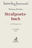 fischer strafgesetzbuch 2017  Strafgesetzbuch: mit Nebengesetzen (Beck\'sche Kurz-Kommentare, Band 10)