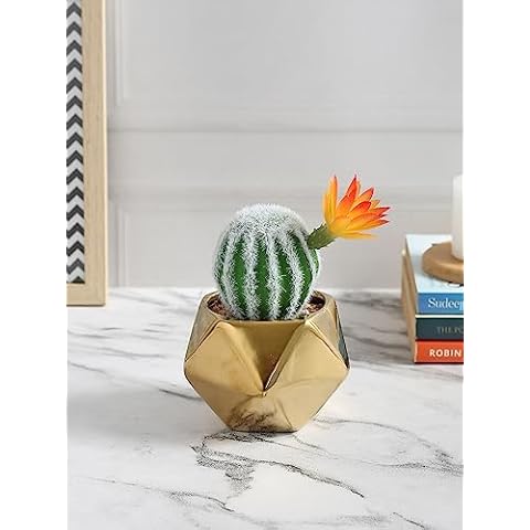 Fourwalls Artificial Succulent Plant with a Golden Pot (14.5 cm) Decorative Items for Home Decor Living Room Balcony Kitchen Bedroom Office Table Top Cover