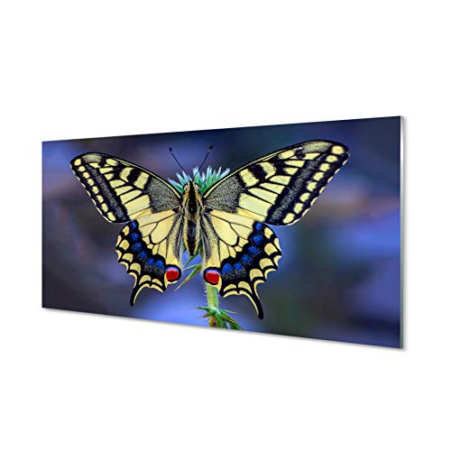 Crédence adhésive 120x60cm en verre trempé papillon pour protection murale de cuisine