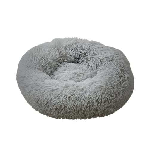 [Luvian]ybgq[^[  Lxbh ی^ dCѕz x߉\ ~pybgxbh S݌v _炩g OK }`TCY