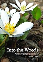 Into the Woods 0578420287 Book Cover