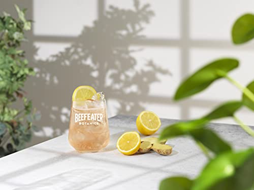 Beefeater London Dry Gin – Edler und hochwertiger Premium-Wacholderschnaps, nach London Dry Gin-Art hergestellt – 1 x 1 L – 40% Vol.