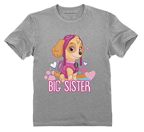 Tstars Official Paw Patrol Skye Big Sister Shirt Toddler Kids T-Shirt