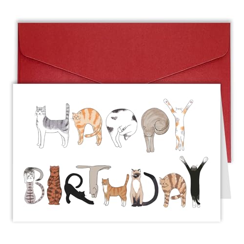 Funny Cat Birthday Card