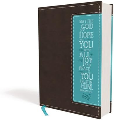 NIV Beautiful Word Bible--soft leather look chocolate/turquoise bible