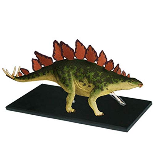 Preisvergleich Produktbild NBVCX Wohnaccessoires Pädagogisches Modell Puzzle Zusammengebautes Spielzeug Tier Dinosaurier Stegosaurus Organ Anatomie Geeignet für Medizinisches Lehrmodell