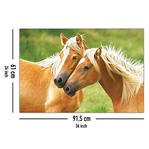 Due cavalli beim Coccole poster (91,5 cm x 61 cm)
