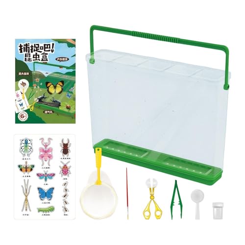 Kit de capture de mouches nature pour occuper les enfants au jardin sans écran