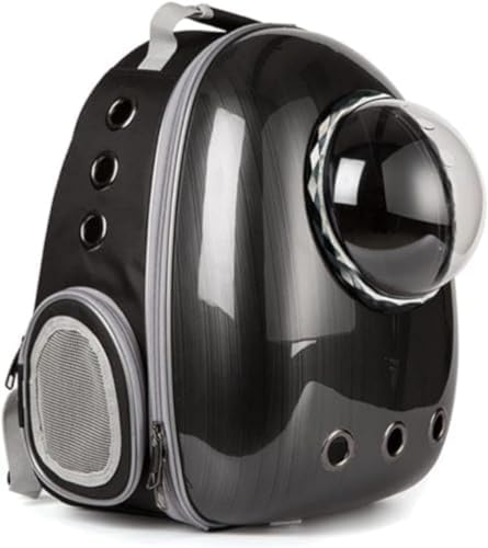 LL[obO LbN LL[ bN ybg obO ybgpL[obO e ω׏d7Kg FD JvZ y ^p hCu LsO H oɕ֗ s ʉ@ ЊQ p (ubN)