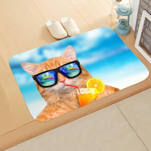 Tapis entrée intérieur antidérapant pour éviter les glissades