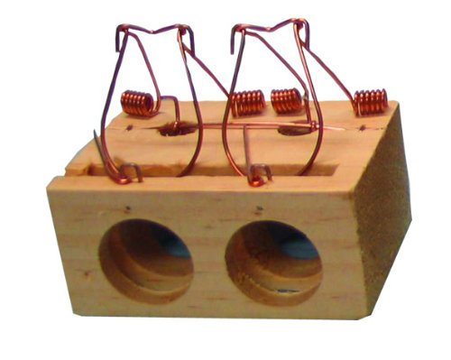 Preisvergleich Produktbild Garhe Mausefalle Holz 2 Löcher