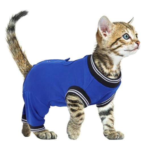 PUMYPOREITY Recovery Suit for Cats, Body Cat Post Surgery Female ...