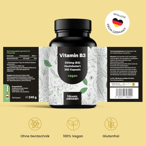 Vitamin B3 Niacinamide Hochdosiert - 365 Kapseln mit 500 mg pro Kapsel, vegan & Produziert in Deutschland - B3 Vitamin Niacinamid - Verpackung kann variieren - Laborgeprüft