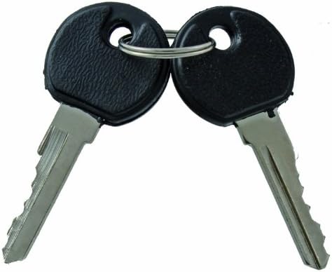 Close-up of two keys for the M-Wave S 10.18 Spiral Cable Lock